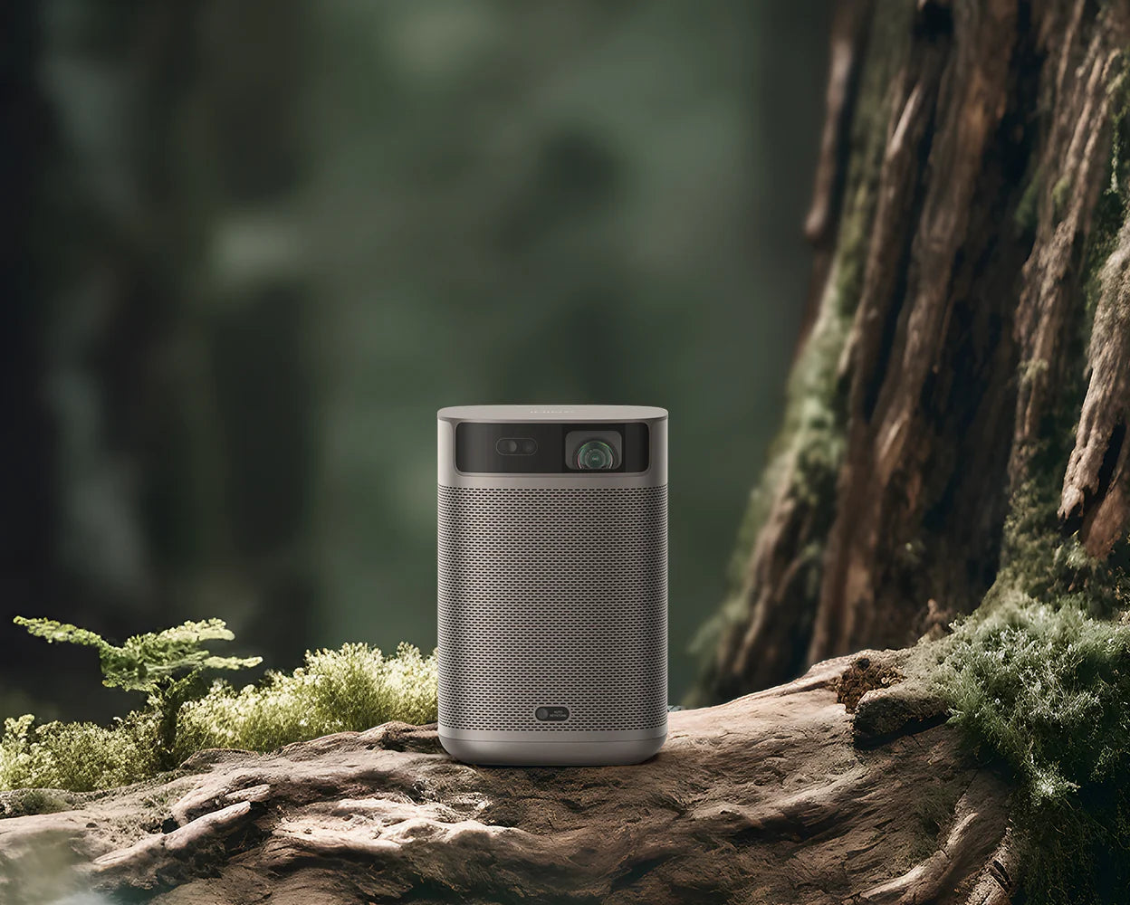 XGIMI MoGo 3 projector on a mossy tree trunk in a forest, highlighting outdoor portability and rugged design